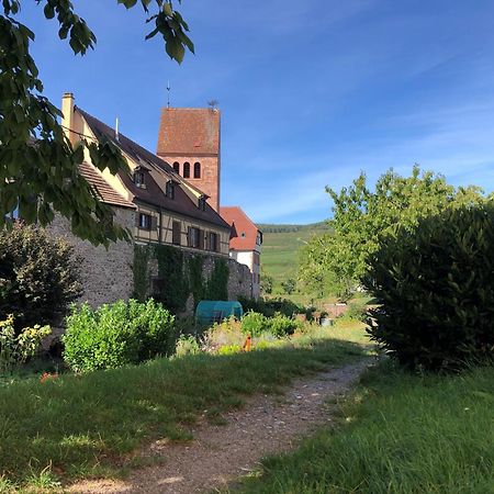 Gite De La Tour Des Fripons. Kientzheim Exterior photo