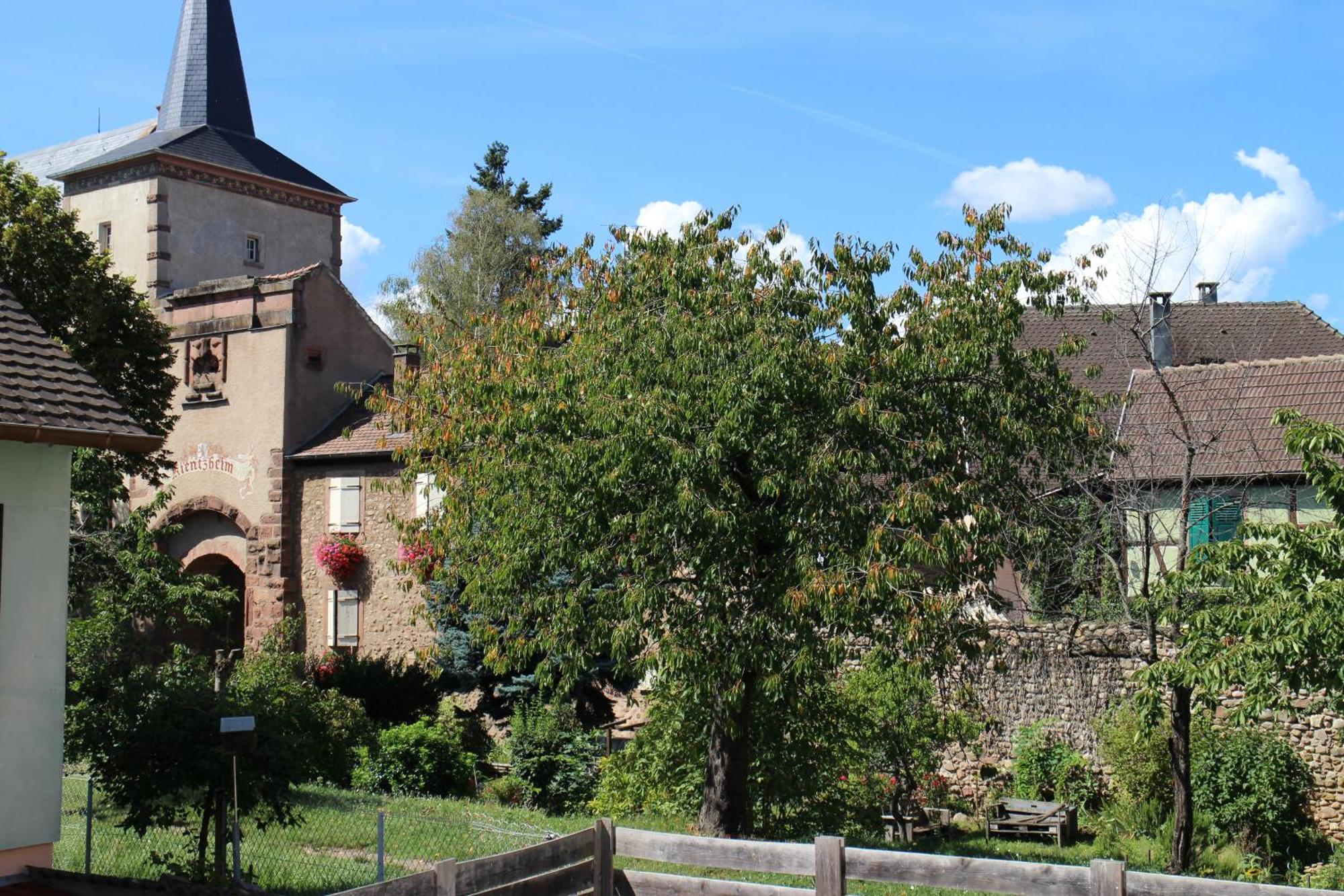 Gite De La Tour Des Fripons. Kientzheim Exterior photo